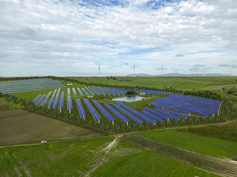 Seapower: circa 300 MW da impianti agrivoltaici già sviluppati. Tempi ormai maturi per installazioni di tipo avanzato grazie anche alle nuove normative